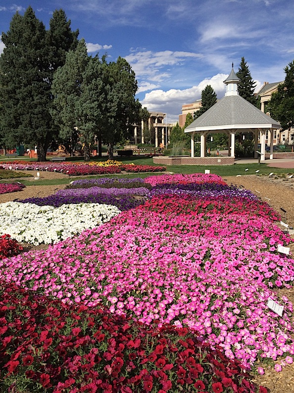 CSU trial gardens, Fort Collins, Colorado