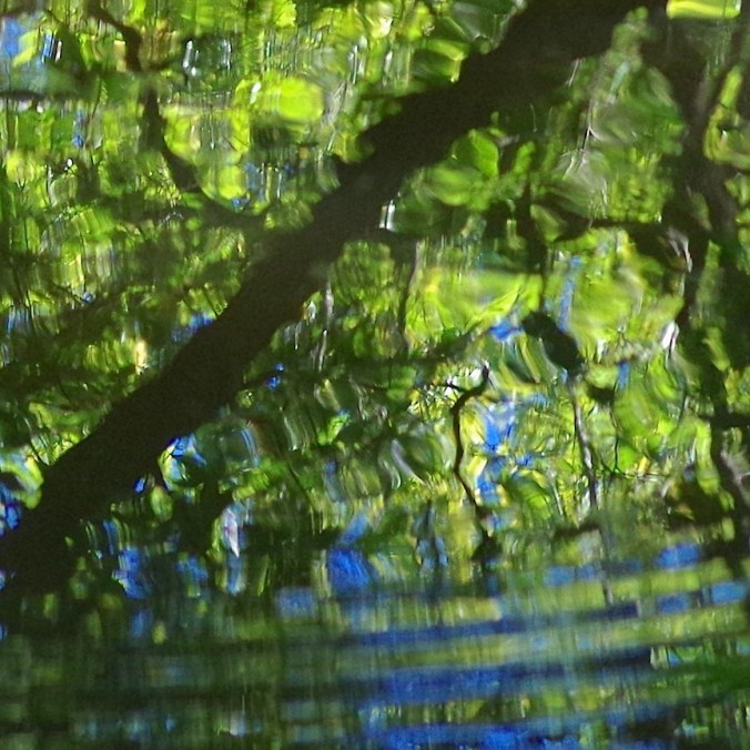 Water ripple, swamp near Cypress Creek Visitors Center, Perks, Illinois