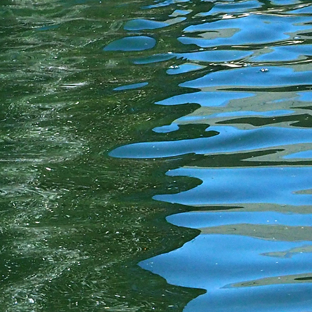 Water-reflections-2-P4020145