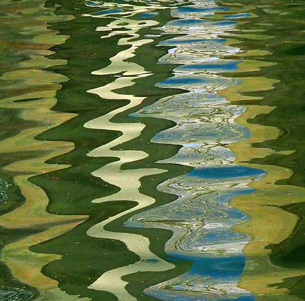 Water-reflections-P4020143