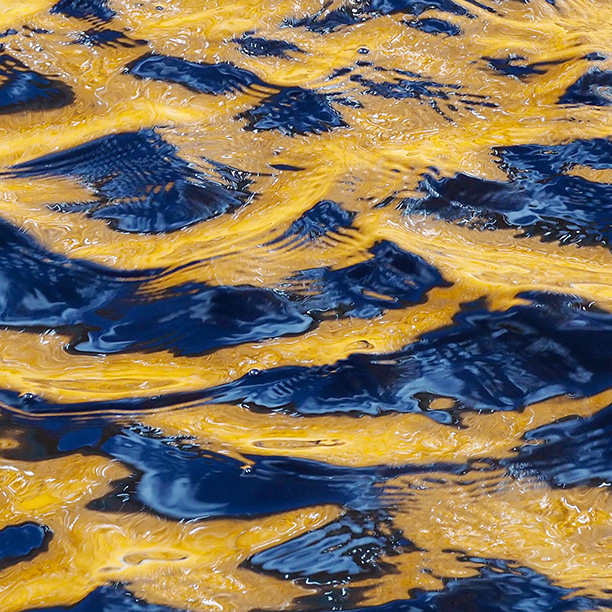 Wavelets-in-sunshine-P4020086