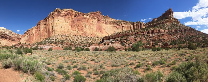 near-Capitol-Gorge-IMG_1914