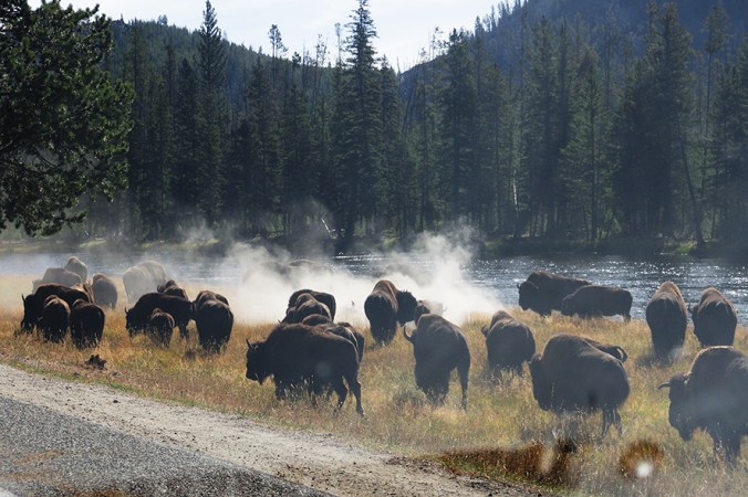 Through the windshield