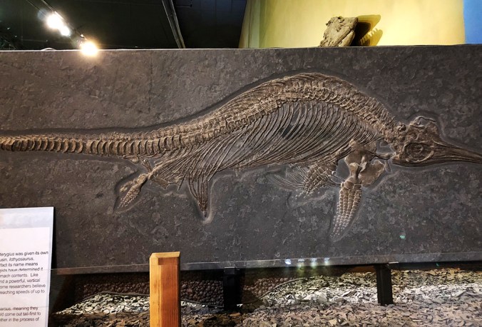 ...in the process of giving birth!