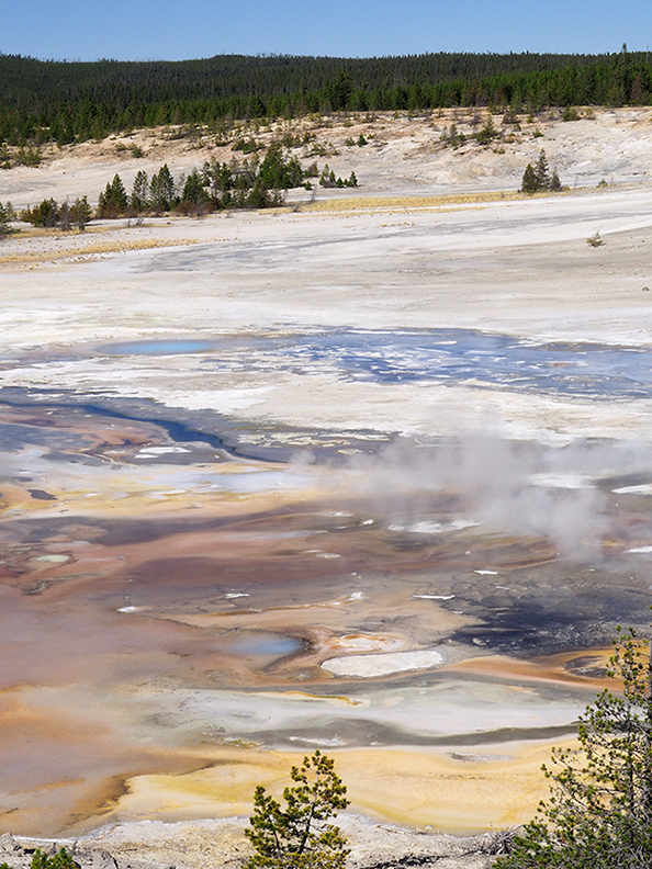 One overview, Porcelain Basin